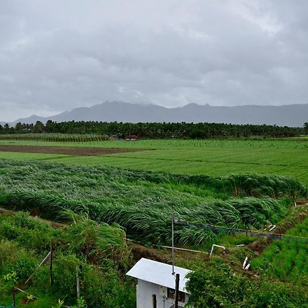 Lakshmi Illam Near Isha Yoga Adiyogi Apartamento Alāndurai Exterior foto
